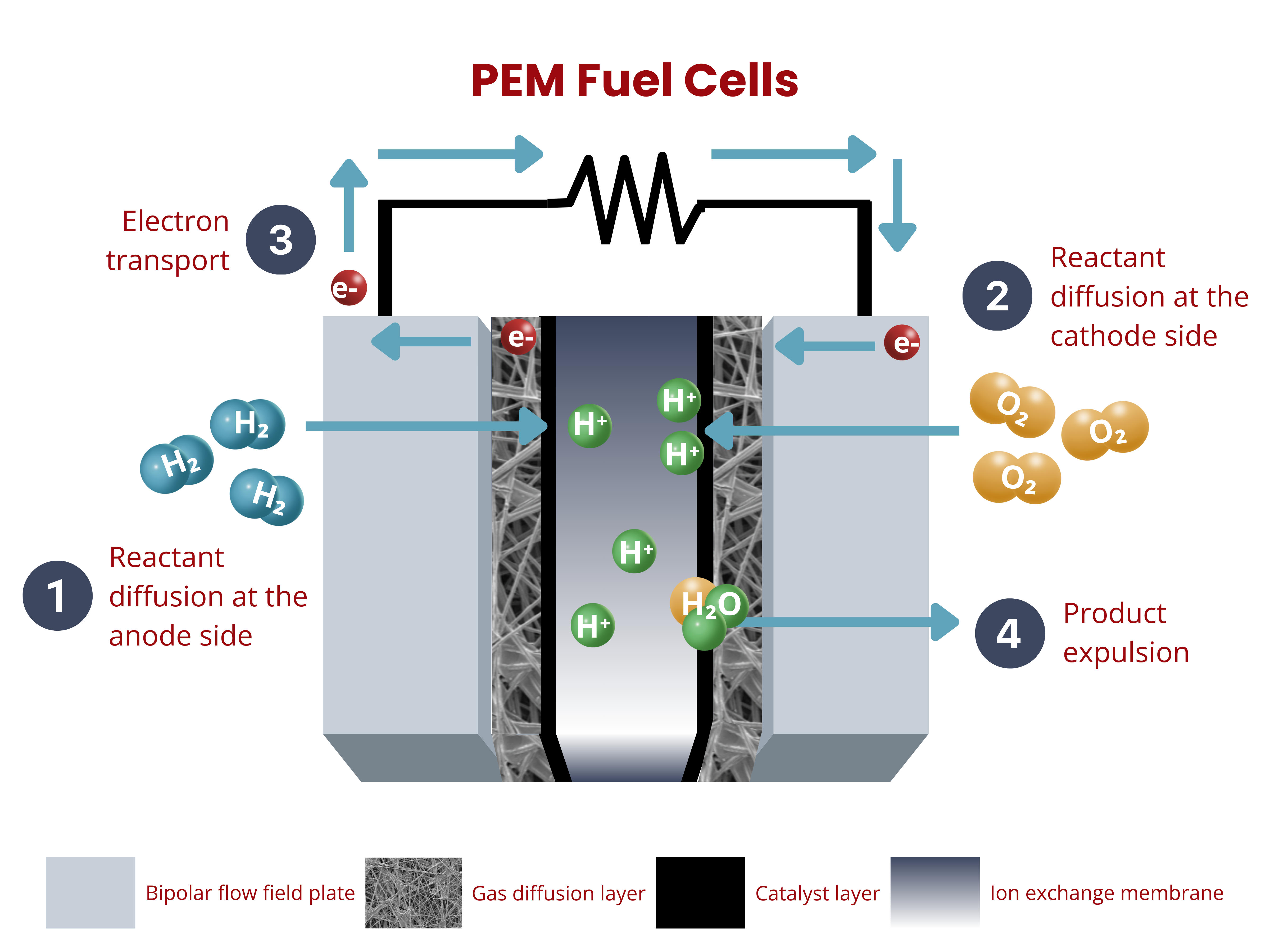 PEM Fuel Cells