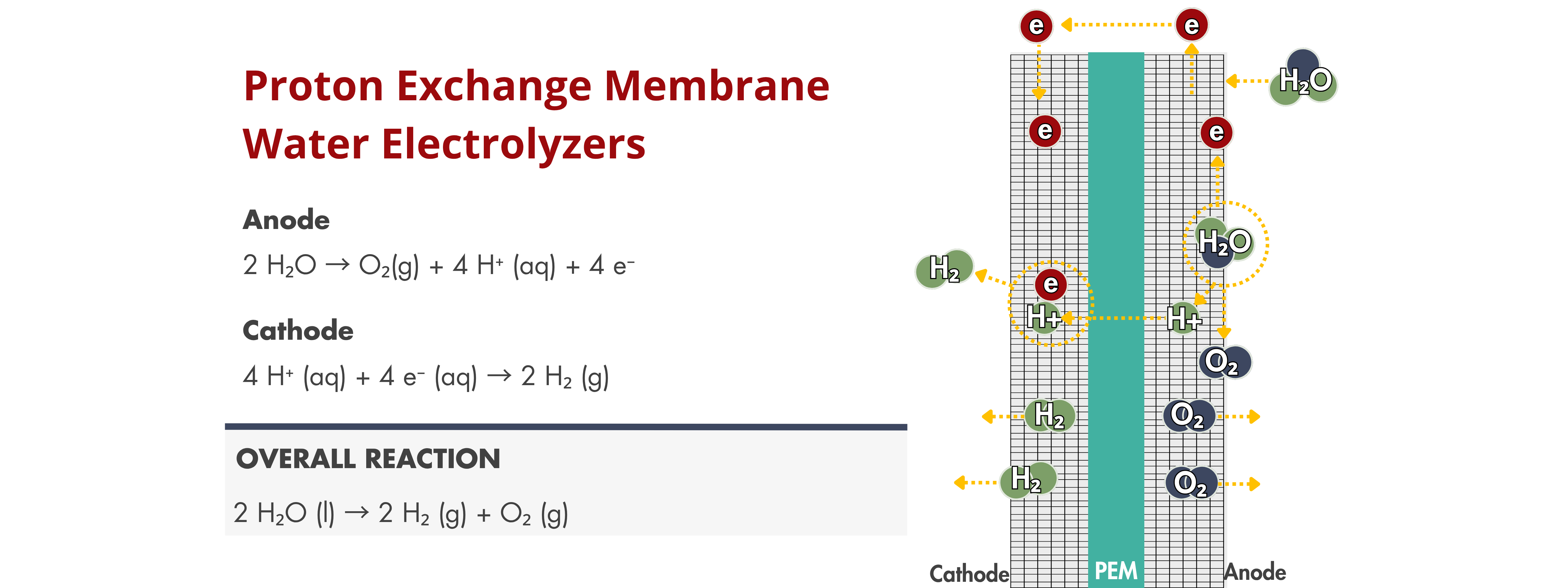 A diagram illustrating the anode and cathode reactions in a PEM water electrolyzer