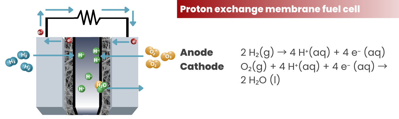 proton exchange membrane fuel cell