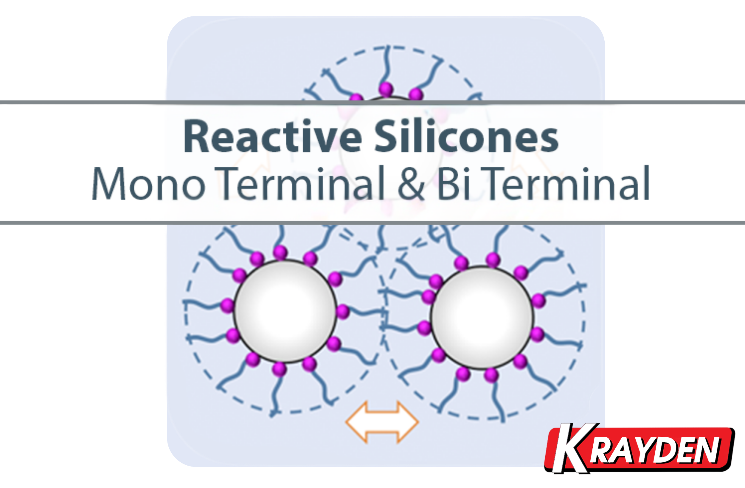Reactive Silicones