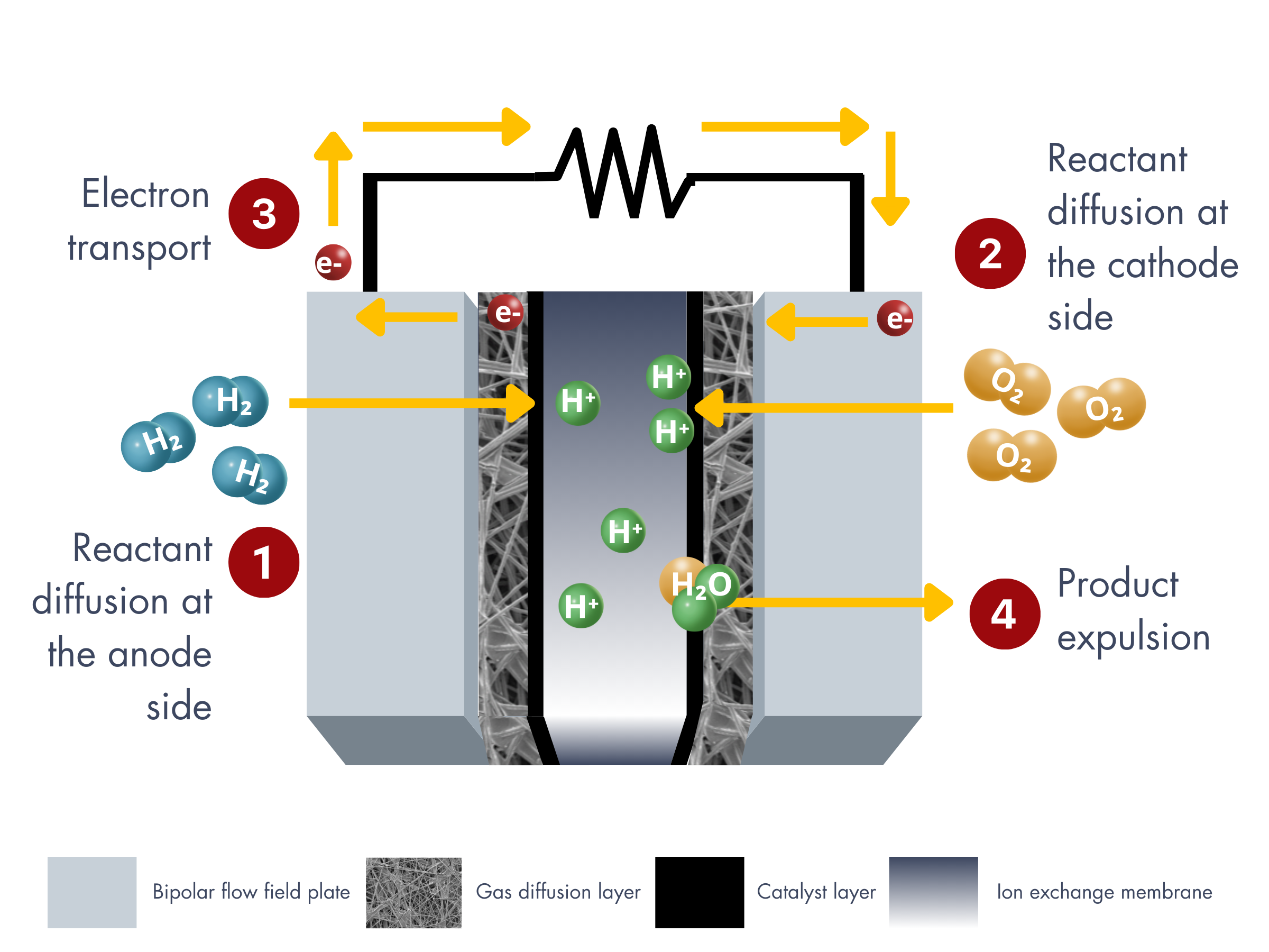 Gas Diffusion Layers in Fuel Cells