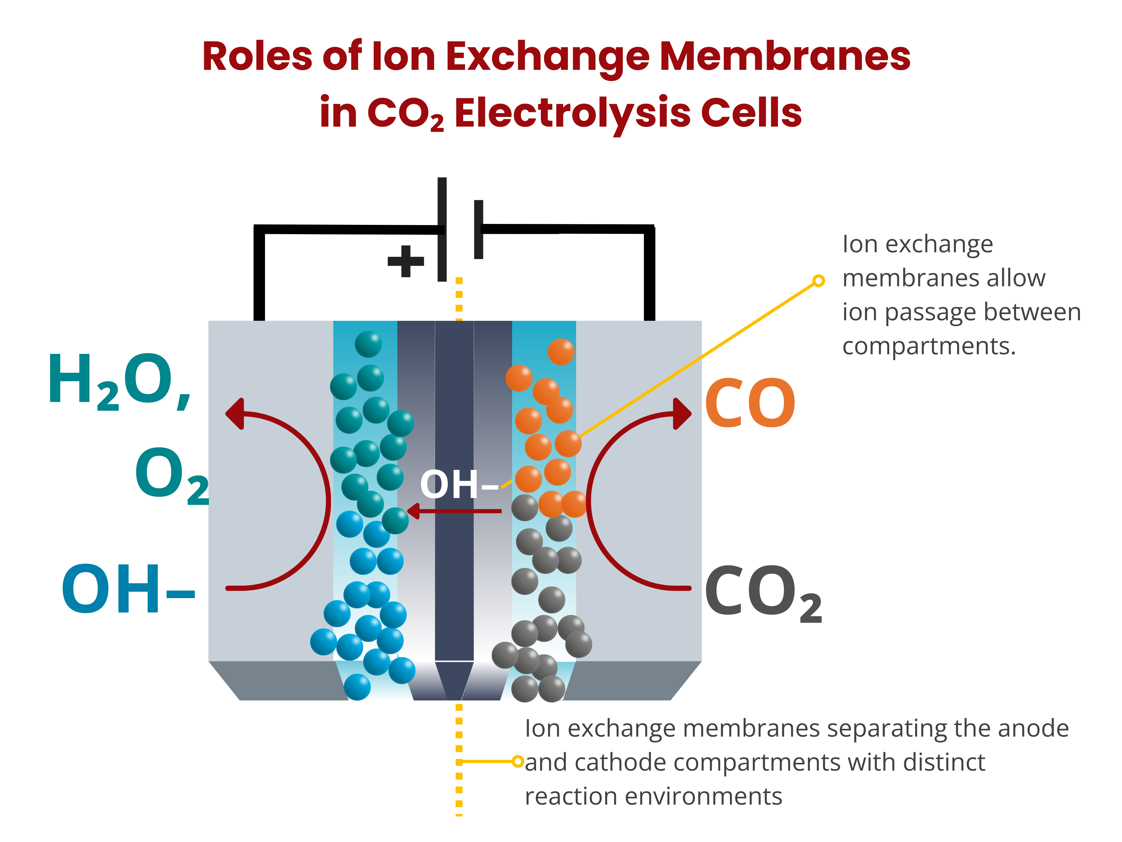 ion exchange membranes for carbon dioxide electrolysis