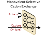 Monovalent Selective Cation Exchange