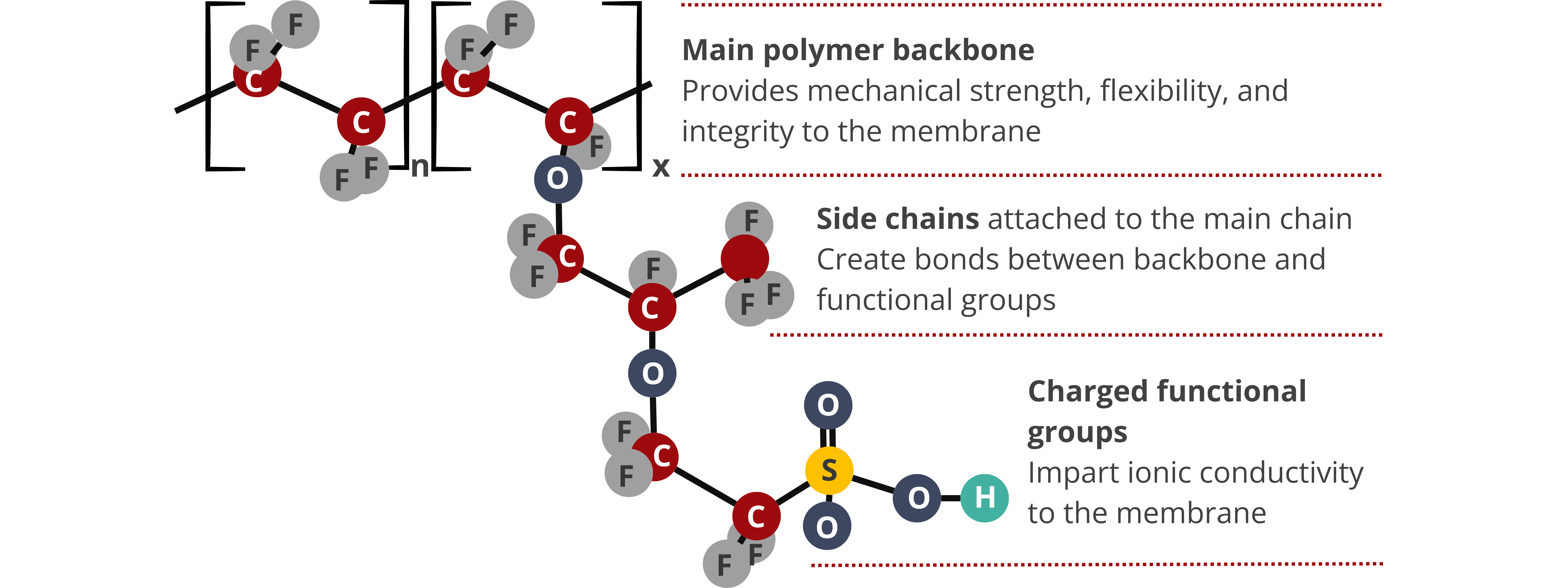 Ion Exchange Membrane Structure