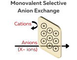 Monovalent Selective Anion Exchange Membrane