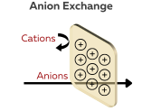 Anion exchange membrane