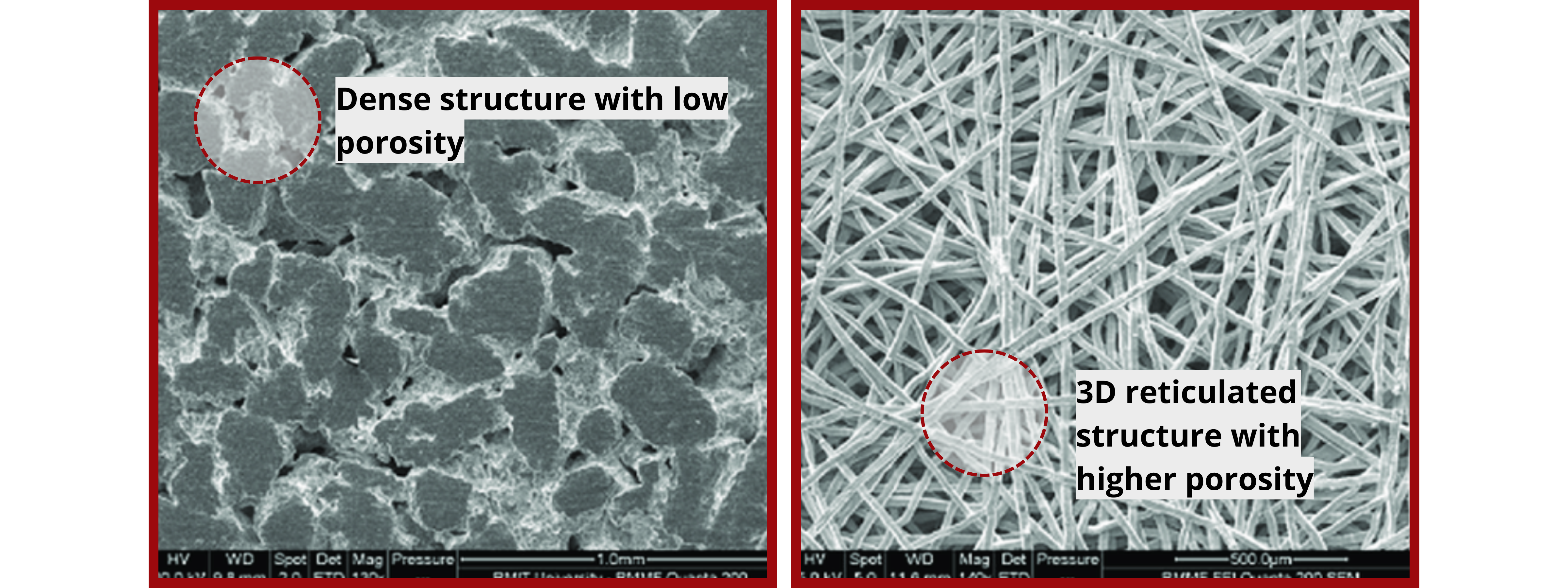 Scanning Electron Microscopy Images of Sintered Titanium Powder and Fiber Felt 