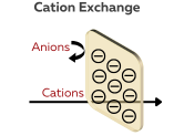 Cation exchange membranes